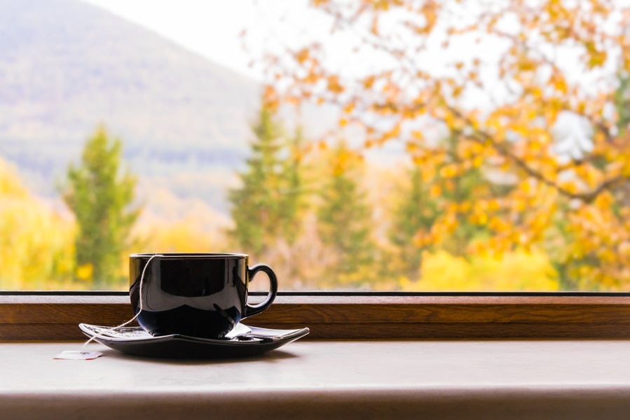 A cup of tea in front of a window with autumn view.