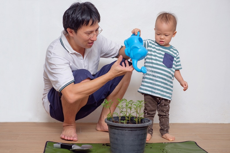 Man and son watering plant representing the HVAC ways to go green in your home.